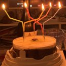 3월생은 사랑스럽습니다