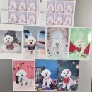 우리 애견 미용실 | 🐶🐾 우리 쵸파, 송도 애견미용실 고민하다 정착한 곳｜1년째 다니는 꼼꼼 애견미용실 내돈내산 후기 ✂️