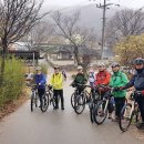이천산수유마을 이미지