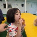 여객선매표소한림해운 | 통영 욕지도 배편 최신 정보 중화항 욕지해운 예약 주차 및 전기차 선적 규정