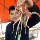 훼미리호 좌대낚시터 이미지