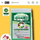 씨에코 이미지