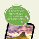 20256.02.11 : Canva-동영상 만들기 이미지