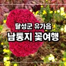 가태길 이미지