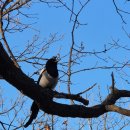 산성자동차공업사 이미지