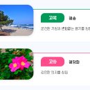 포항과학기술고등학교 이미지