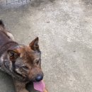 재천농장 이미지