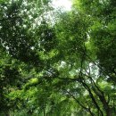 탐라신화공원 이미지