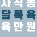 올리브펫살롱 이미지