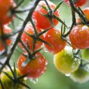 양산농장 이미지