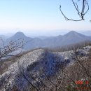 벌재농장 이미지