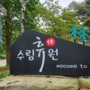 글램핑 1박2일 ⛺ 보령 수림휴원 글램핑!