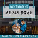 에이치동물메디컬센터 이미지