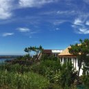 오후펜션 이미지