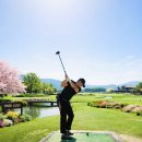 파크골프 이미지