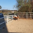 성호목장 이미지