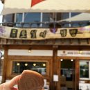 부여자온대펜션 | 금강 자전거길 종주 라이딩, 세종에서 군산까지 하행(부여자온대펜션, 장원막국수, 카페 바람의 언덕)