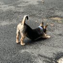 거제점 굽네치킨 | 거제도가서 밥만 먹고 온 거제?