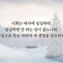 백십자