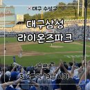'2-19 | 삼성라이온즈파크 블루존 3-2구역 19열 시야 응원석 후기, 먹거리 추천, 포토존 위치, 팀스토어 대기