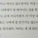 사진관시호일 이미지