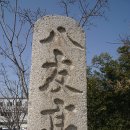 팔우정 이미지