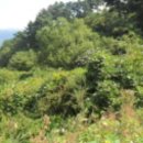 안성면063 이미지