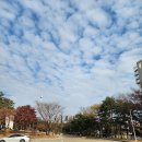 효창공원 Daum카페