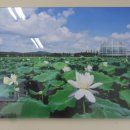 무안군 관광안내소 이미지