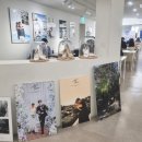 다이렉트 웨딩 스튜디오 상담 후기(어반,가을,로라)