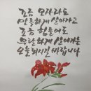 상식 퀴즈 이미지