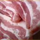 나주개미집 이미지