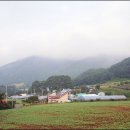 지동리 마을회관 이미지