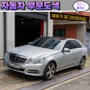 덴트텍 이미지