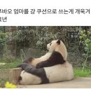 무등산펜션 이미지