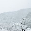 더큰여행주 이미지