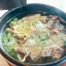 다란동물병원
