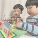 유아 세계창작그림책 블루래빗 토끼책방 팝업북