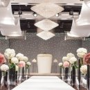 웨스턴베니비스 이미지