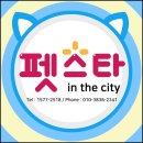 스타인호텔 이미지
