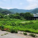 호황농장 이미지