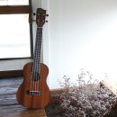 마음 힐링 우쿨렐레 이미지