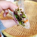[내돈내산] 렛츠고베트남에서 월남쌈, 분짜, 쌀국수, 베트남 전통과일주스 밋까지 제대로 뿌시고 온...