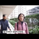 일본 신혼집 처음보고 깜짝 놀란 한국 시부모님? 이미지