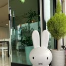 사농동334 이미지
