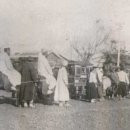 지금,돼지 이미지