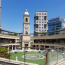 코코아도그 이미지