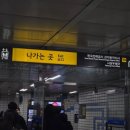쿠라쿠라참치 이미지