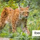 하늘가축병원 이미지