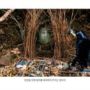 낭만수컷 Daum카페